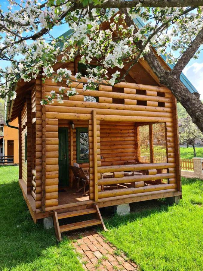 Guest House Green Garden Mojkovac Exteriör bild