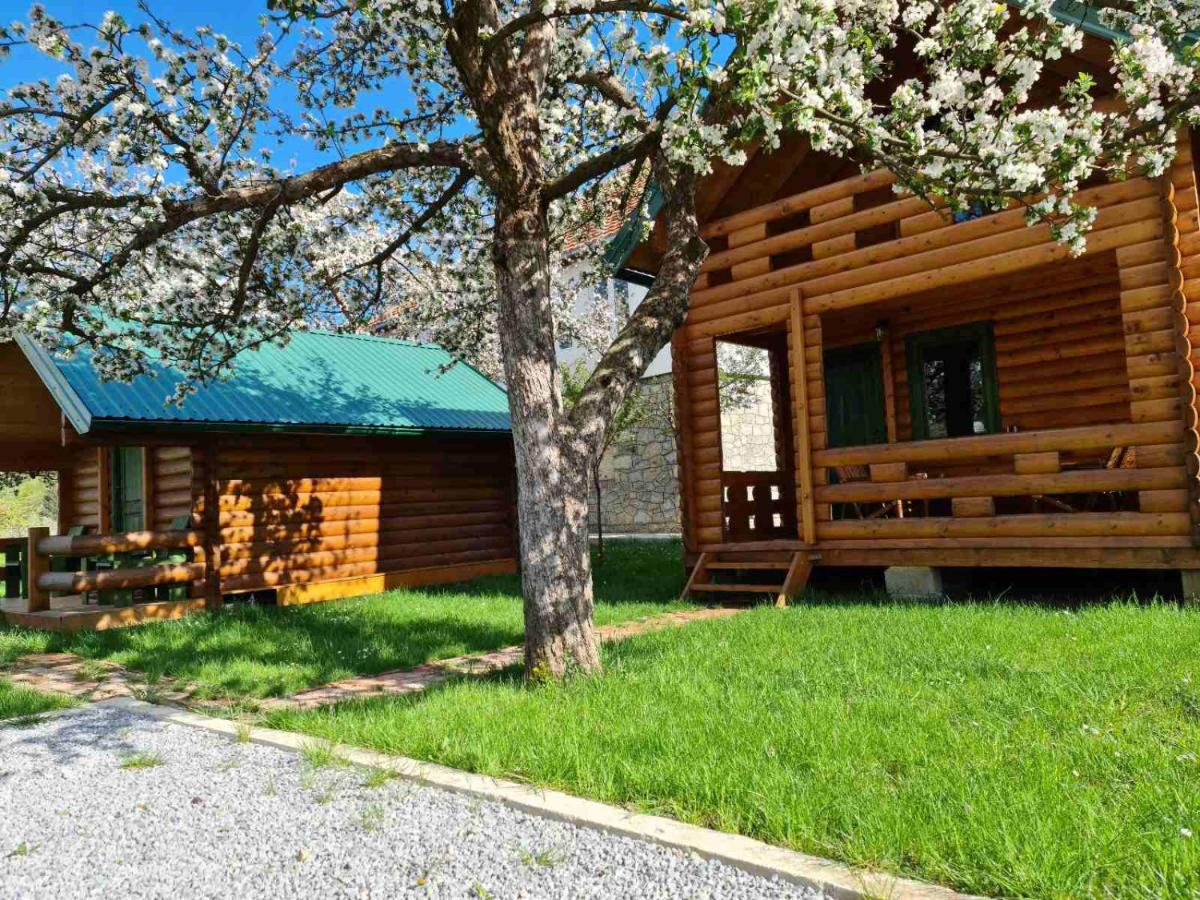 Guest House Green Garden Mojkovac Exteriör bild
