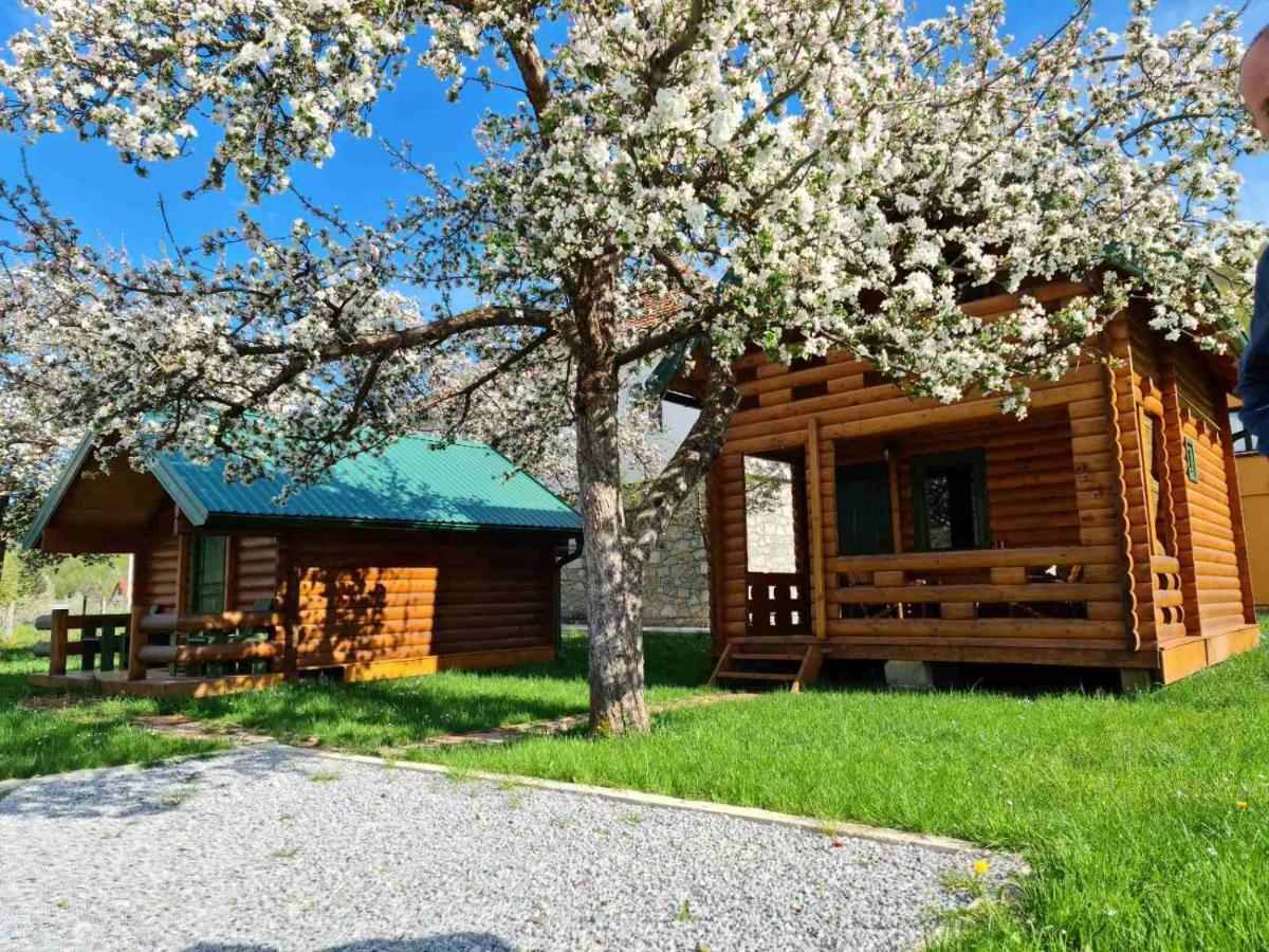 Guest House Green Garden Mojkovac Exteriör bild